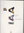 Renault Pressemappe 1997 - 5361
