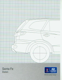 Hyundai Santa Fe Prospekt Technik 2007 -8947