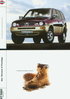Nissan Terrano II Prestige Prospekt 1999  -9382