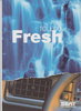 Seat Toledo fresh Prospekt 1996