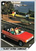 Talbot Samba Cabriolet 1983 gelocht