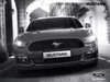 Preisliste Ford Mustang 12-2015