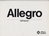 Austin Allegro Autoprospekte