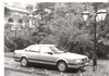 Pressefoto Audi V8 Exclusive 1992 prf-85
