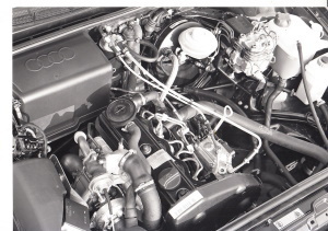 Pressefoto Audi 80 1.9 TDI 1992 prf-114